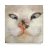 icon com.abujayyab.siwarghariba 1.5