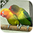 icon Lovebird Live Wallpaper 1.12