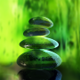 icon Green Zen Live Wallpaper