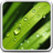 icon Dew Drops Live Wallpaper 18.0