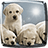 icon Puppies Live Wallpaper 6.6