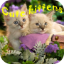 icon Cute kittens puzzles