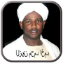 icon Alzain Mohamed Ahmed