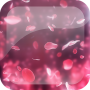 icon Rose Petals Live Wallpaper