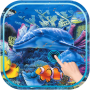 icon Magic Touch : Fish Pond لـ Maxwest Nitro 55M