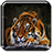 icon Tiger Live Wallpaper 1.13