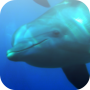 icon Sea Fun Games – free لـ DEXP Ixion M545