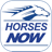 icon Horses Now 3.4.6