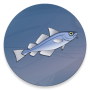 icon Справочник рыбака لـ intex Cloud String HD