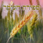 icon com.alkobyshai.sefirathaomer