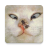 icon com.abujayyab.siwarghariba 1.6