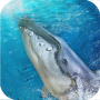 icon Blue Whale Challenge