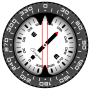 icon Compass PRO لـ LG Fortune 2