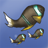 icon Fish Tycoon 1.0