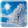 icon Winter Live Wallpaper