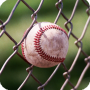 icon Baseball Wallpaper لـ BLU S1