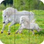 icon PuzzleHorses