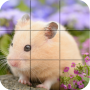 icon Puzzle Hamsters