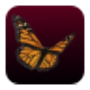 icon TELLscale