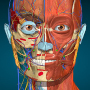 icon Anatomy Learning - 3D Anatomy لـ Samsung Galaxy Tab 3 Lite 7.0