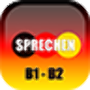 icon Sprechen B1B2