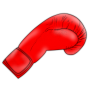 icon Boxing