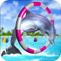 icon Dolphin Fun Game