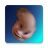 icon FunMirror 5.0