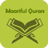 icon Maariful Quran 5.0.0