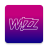 icon Wizz Air 8.1.8