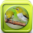 icon Kicau Pleci 2.0.1