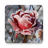 icon Frozen Flowers Live Wallpaper 1.0.8