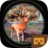 icon VR Hunting 2.6
