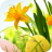 icon Beautiful Wallpaper 1.2.7