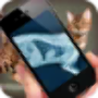icon Simulation XRay Cat لـ Samsung Galaxy Ace Duos I589