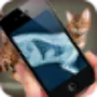 icon Simulation XRay Cat لـ Motorola Moto X4