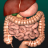 icon Internal Organs 3D Anatomy 3.5.2