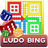 icon Ludo Bing 1.0.27