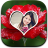 icon Rose Frames 1.1