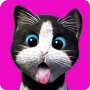 icon Daily Kitten
