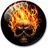 icon Skulls Live Wallpaper 5.0