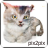icon pix2pix 1.0