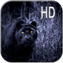 icon Black Panter Live Wallpaper