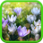 icon Spring Landscapes Live Wallpaper 1.0.2