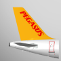 icon Pegasus: Cheap Flight Tickets لـ Vertex Impress XXL
