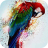 icon Multicolored parrot 1.1