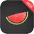 icon Melon VPN 8.1.155