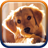 icon Cute Puppies Live Wallpaper 1.2.0