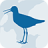 icon Wadvogels 2.0