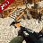 icon commando adventure war 1.2